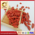 Good Quality Goji Berry New Crop Ningxia